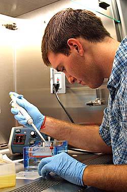 Du học Anh - Cử nhân Sinh học ứng dụng (Applied Biology) – Đại học Northumbria Newcastle